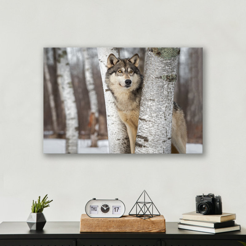 Reproduction d'art loup gris, H 48 po x l 36 po x P 0,12 po, Métal sans cadre