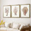 Terra Cotta Coral I - reproduction sur mesure encadrée de qualité supérieure - 3 pièces-268661159-268661153
