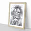 Lion Portrait - Picture Frame Drawing Print-56925067-56925070