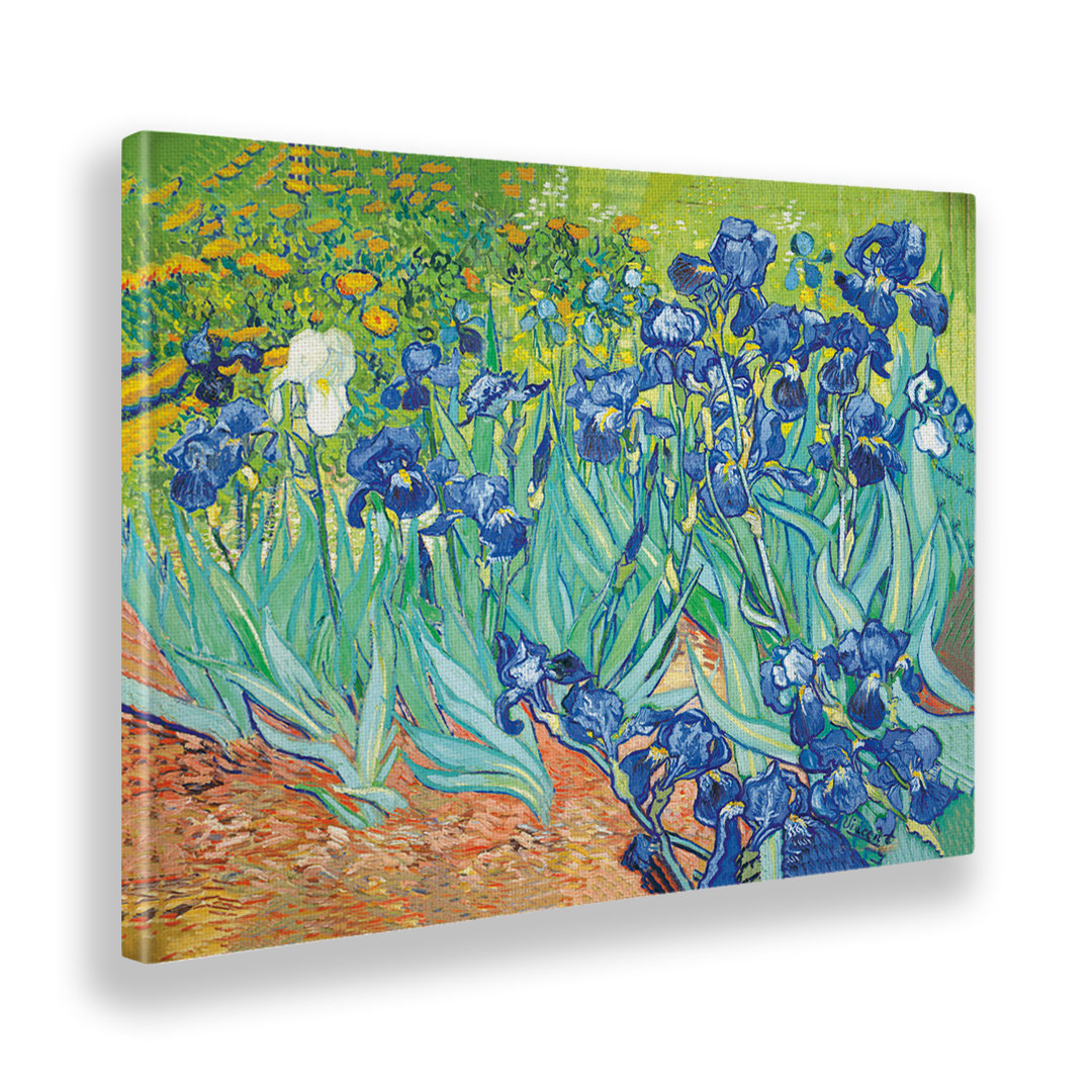 Leinwandbild Iris von Vincent Van Gogh