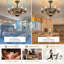 Ventilateurs de plafond de style campagnard moderne 23/32 po avec lumières et télécommande-656195664