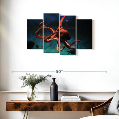 Brampt Octopus Vulgaris