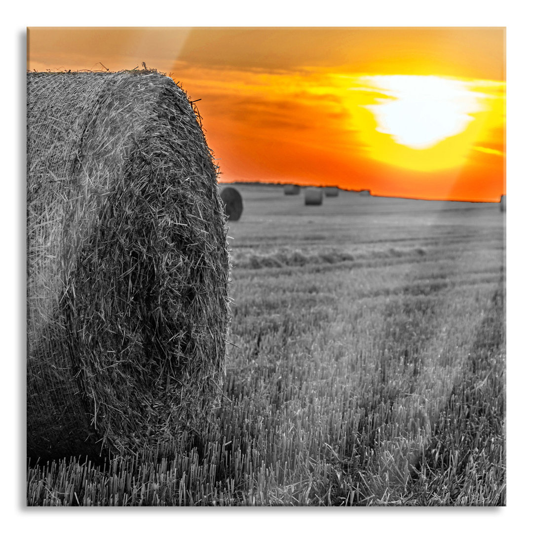 Glasbild Strohballen auf Feld