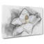 Blooming White Magnolia in Abstract - Wrapped Canvas-55315958