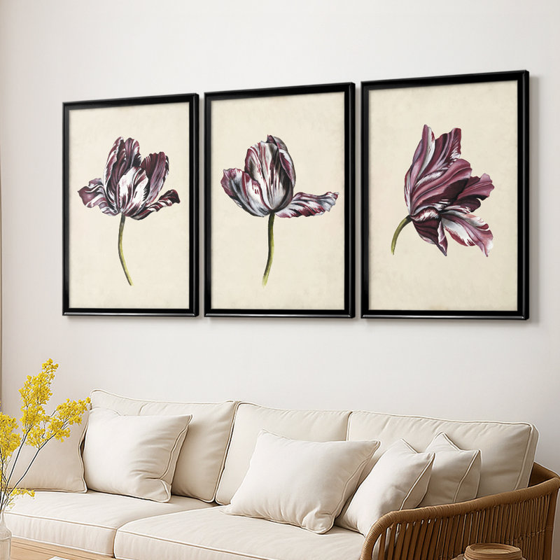 Antique Tulip Study I - Toile tendue avec châssis sur mesure - 3 pièces, Noir, H 19 po x l 27 po