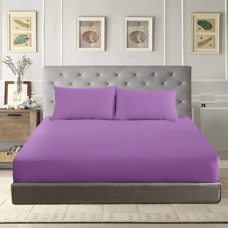 Angelka Microfiber Brushed Deep Fitted Bed Sheet, Purple, Double (4'6)