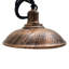 Colusa 1 - Light Dome Pendant-758076198