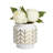 6" Gold Chevron Pattern White Ceramic Vase-104609071-104609070