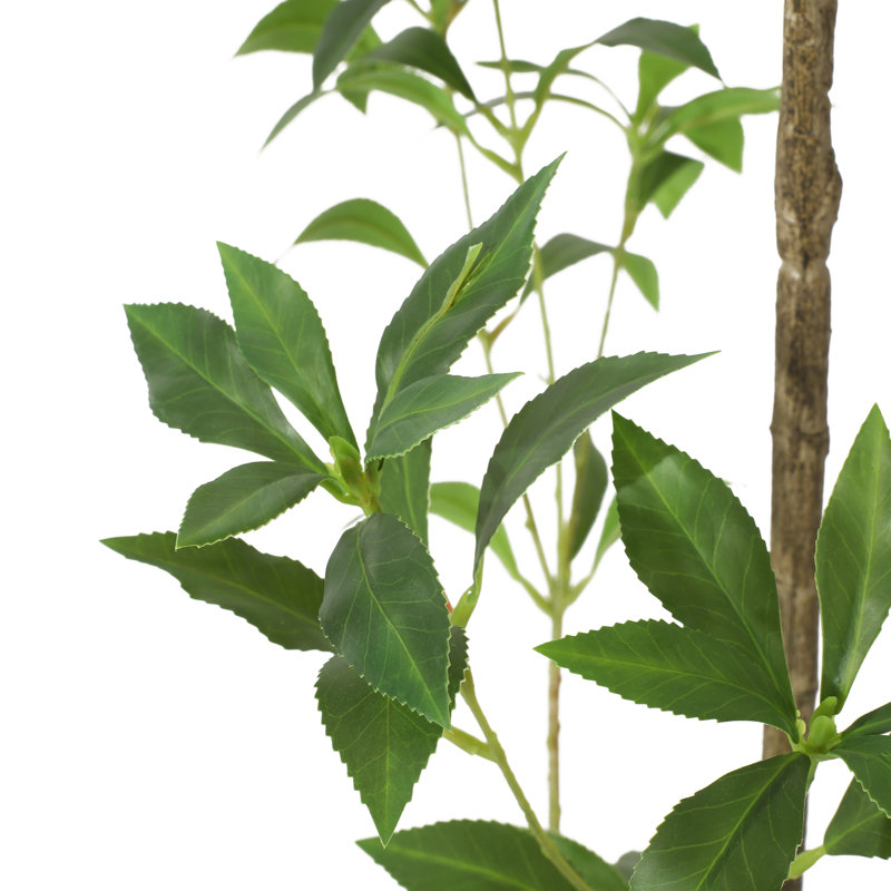 Artificial Pieris Tree, 94.5" H x 47" W