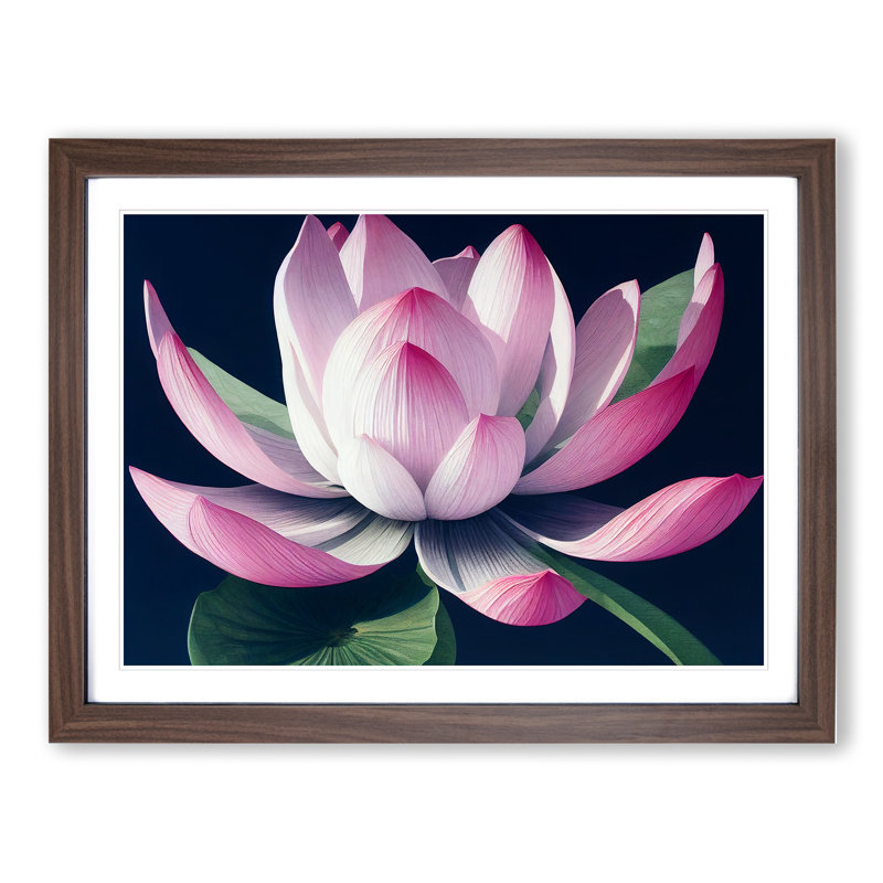 Bewitching Lotus Flower 1 Piece Single Picture Frame Wall Art, 46cm H x 64cm W x 2cm D, Walnut Framed
