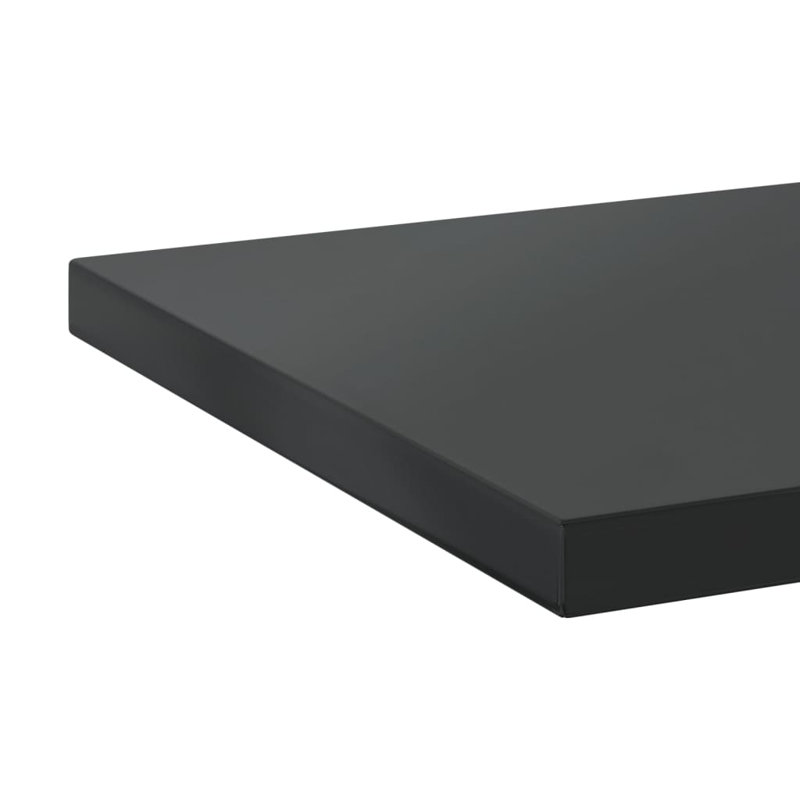 Roheel Stainless Steel Bracket Shelf, 3cm H x 100cm W x 30cm, Black