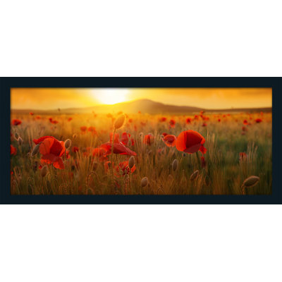 Landscape Harmony - Single Picture Frame Print