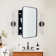 Haslem Recessed Framed Medicine Cabinet with Mirror and Adjustable Shelves