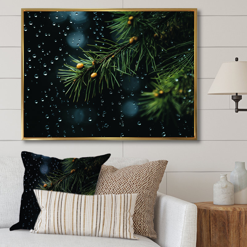 Épinette, pin, forêt I - Art mural pin, Cadre flottant doré, H 12 po x l 20 po x P 1 po