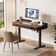 Marshun 48'' W Height Adjustable Rectangle Electric Standing Computer Desk  Home Office Desk with Drawers