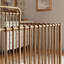 Winston 4-in-1 Convertible Mini Crib-1318984474