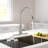 DORNBERG Pull Out Kitchen Faucet-91324912