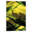 « complex oh cerf », reproduction d’impression sur toile tendue-20831614-73089105-73089106