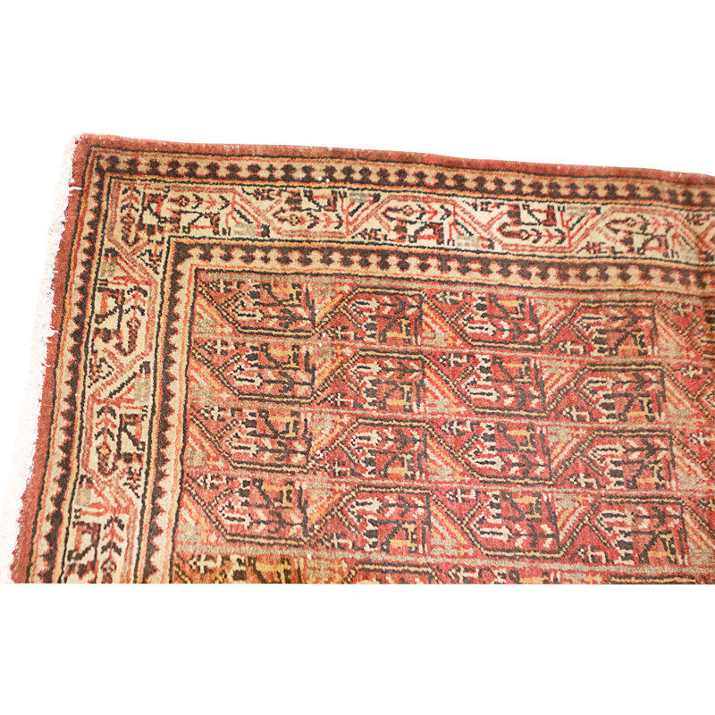 Hand Knotted Wool Area Rug in Multi