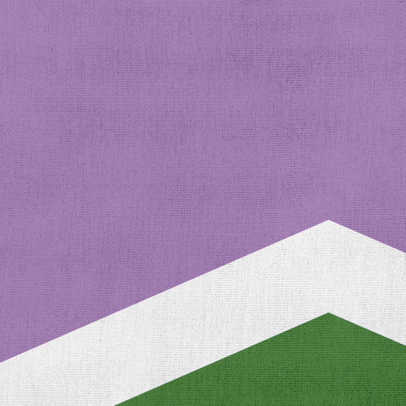 Coussin O5_Polysexual Chevron, Mauve