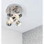 Mcreynolds LED Spotlight