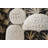Arleigh 1 - Light Whitewash Dome Pendant