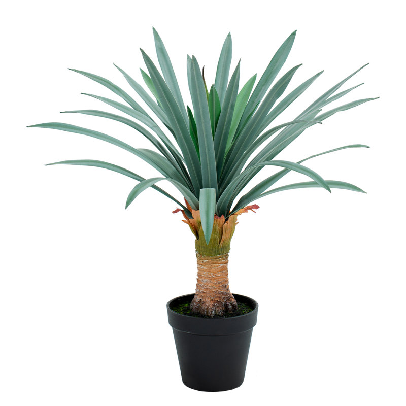 Plante d'agave artificielle gris-vert de 45 cm avec pot noir, fausse plante de yucca tropicale réaliste, agave artificielle protégée contre les UV pour la décoration intérieure et extérieure