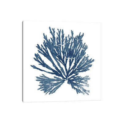 Pacific Sea Mosses Blue On White II by Wild Apple Portfolio - Wrapped Canvas Gallery-Wrapped Canvas Giclée
