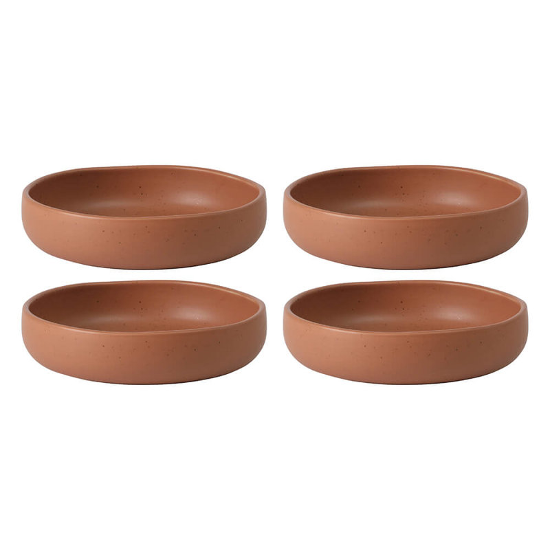 Bloomhouse Corcisa Clay 4 Piece Dinner, Pasta, Meal Bowl Set - Burnt Apricot Terracotta, Brown