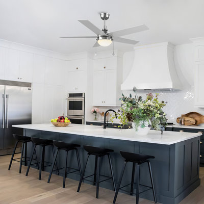 Johnye 52'' Ceiling Fan with LED Lights