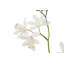 20.5" Artificial White Orchid in Vanda Pot