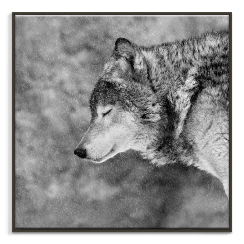 Print on Canvas, Black, 76cm H x 76cm W