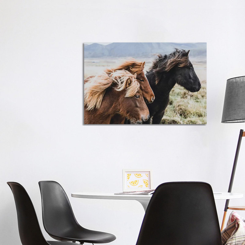 Eastern Region, Iceland I by Luke Anthony Gramme - Wrapped Canvas Print, 101.6 cm H x 66.04 cm W x 3.175 cm D
