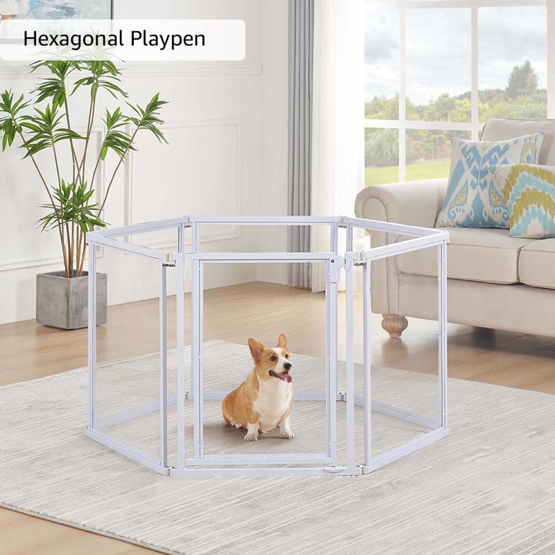 Parc pour chien transparent transparent, 6 panneaux, H 24 po x l 124,8 po x P 1,17 po