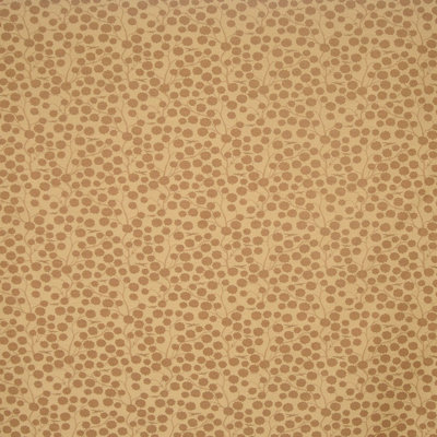 Allure Fabric