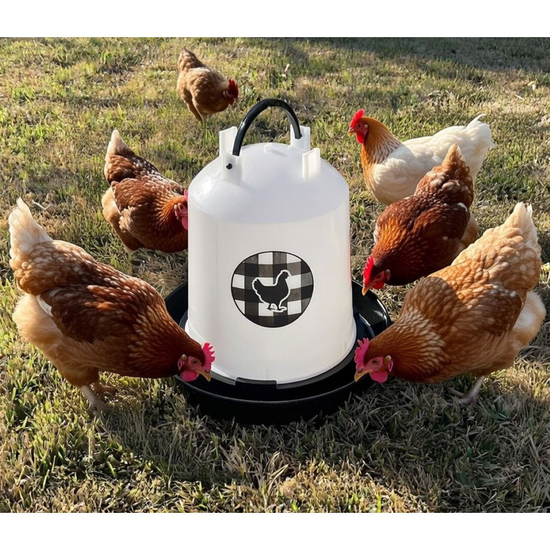 Abreuvoir à poulet 1,5 gallons - noir, 1,5 gallons, Noir