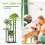 Plant Stand-1324483768