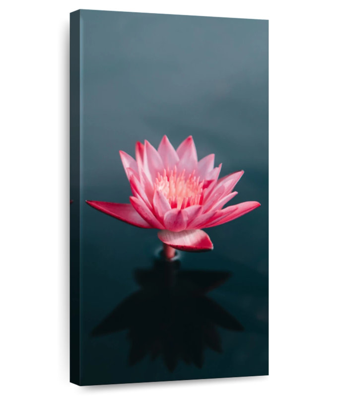 Solo Lotus, 30" H x 15" W