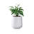 Sykes Pot Planter-142813246