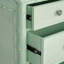 Gutshall Chest- Seafoam