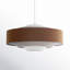 Bisi Single Light Iron Dimmable Pendant