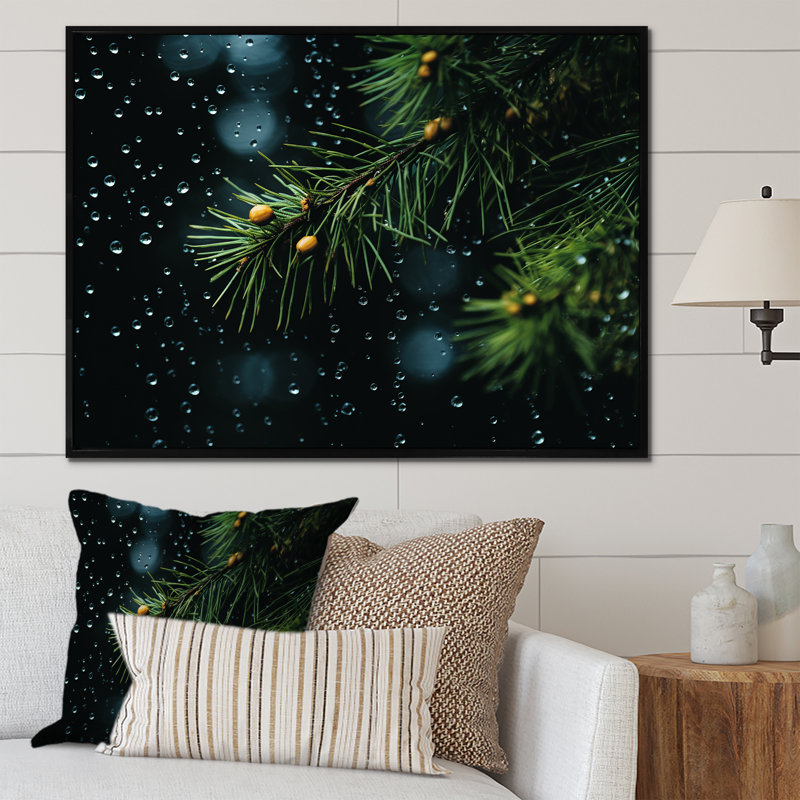 Épinette, pin, forêt I - Art mural pin, Cadre flottant doré, H 12 po x l 20 po x P 1 po