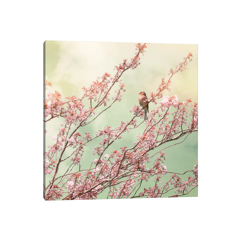Bird With Cherry Blossom - Wrapped Canvas Print, 30.48 cm H x 30.48 cm W