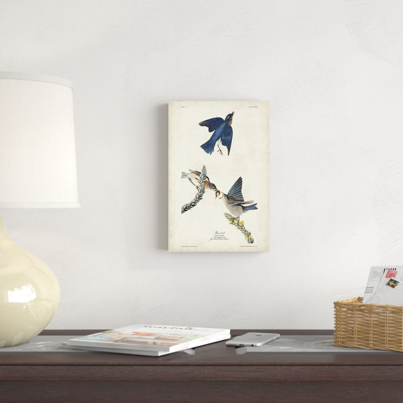 Pl 113, oiseau bleu, H 12 po x l 8 po