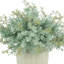 Eucalyptus Floral Arrangement