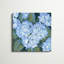«Blue Hydrangeas II», peinture sur toile-1550081997-1550081996