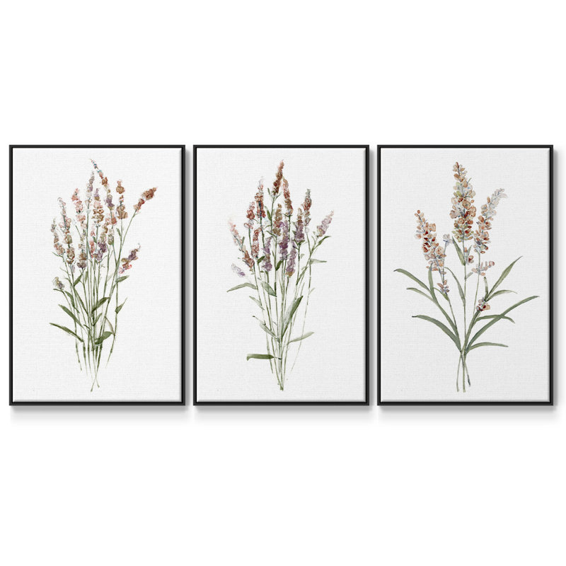 Ensemble de 3 reproductions de photos sur toile Dicat Botanical I, Noir, H 40 po x l 78 po