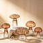 Ensemble de 5 vases en verre Amber en verre, mini vases à bourgeons uniques pour centres de table, vases décoratifs pour fleurs, décor de vase plante Funky