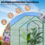7 Ft W x 3 Ft D Walk-In Greenhouse-113877426