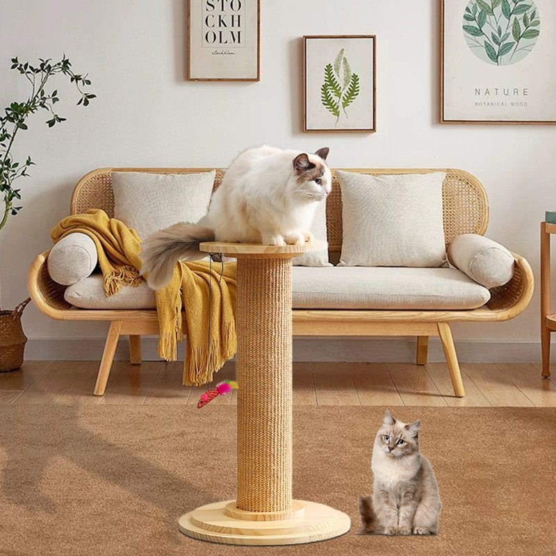 Maison pour chat Efthimios